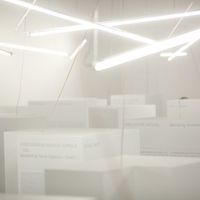 Small img 7539