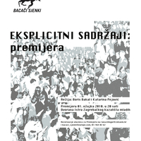 Small explicitni plakat bs premijera 2010