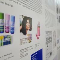 Small borcic izlozba hdd 3