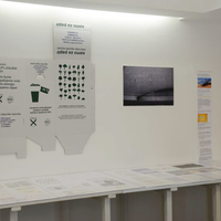 Small lerotic hdd 2013  2 