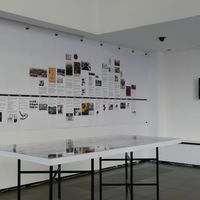 Small mundus  8 
