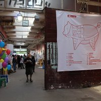 Small dan d 2011 jana dabac