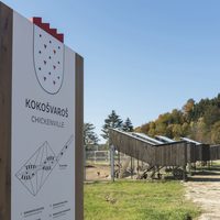 Small 1718 kokosvaros signalistika