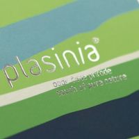 Small 1718 plasinia 3