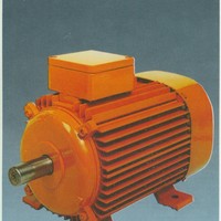 Small mali motori007