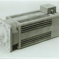 Small mali motori002